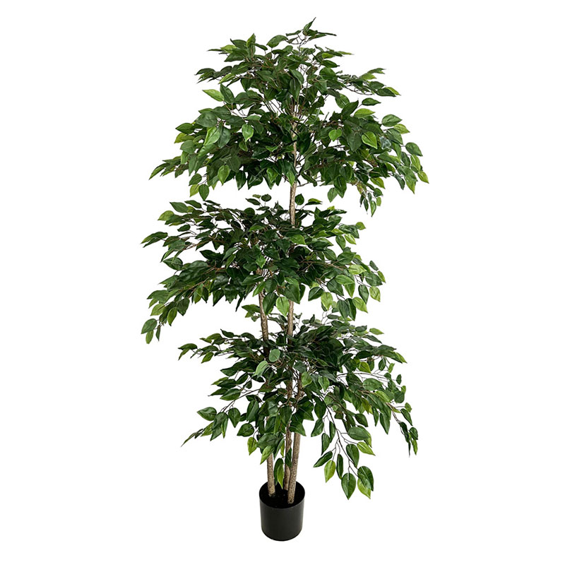 70in Ficus Artificial Tree Lar - огляд і ціна Dracaena Marginata