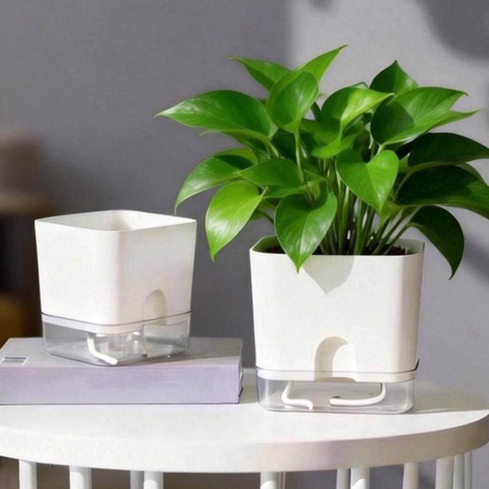 Automatic Watering Flower Pots - огляд і ціна Aloe Vera Pot