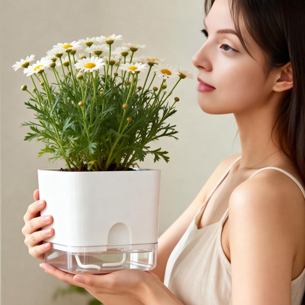 Automatic Watering Flower Pots - огляд і ціна Aloe Vera Pot