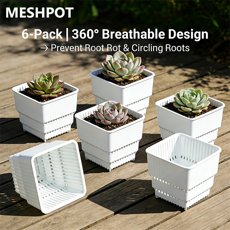 MESHPOT 6-Pack Square Pots for - огляд і ціна Echeveria Succulent
