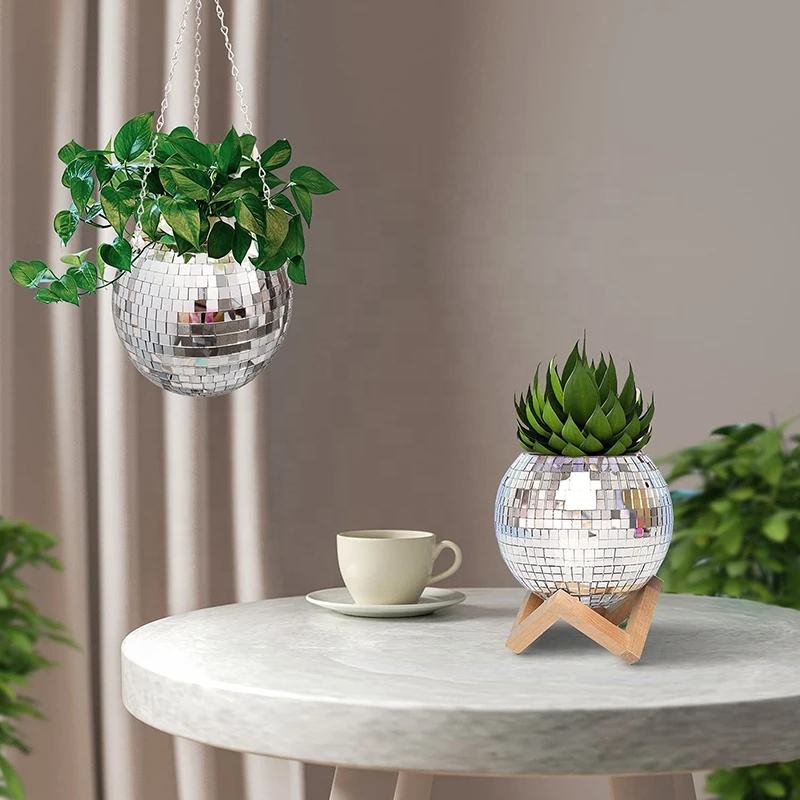 Disco Mirror Ball Hanging Flow - огляд і ціна Echeveria Succulent