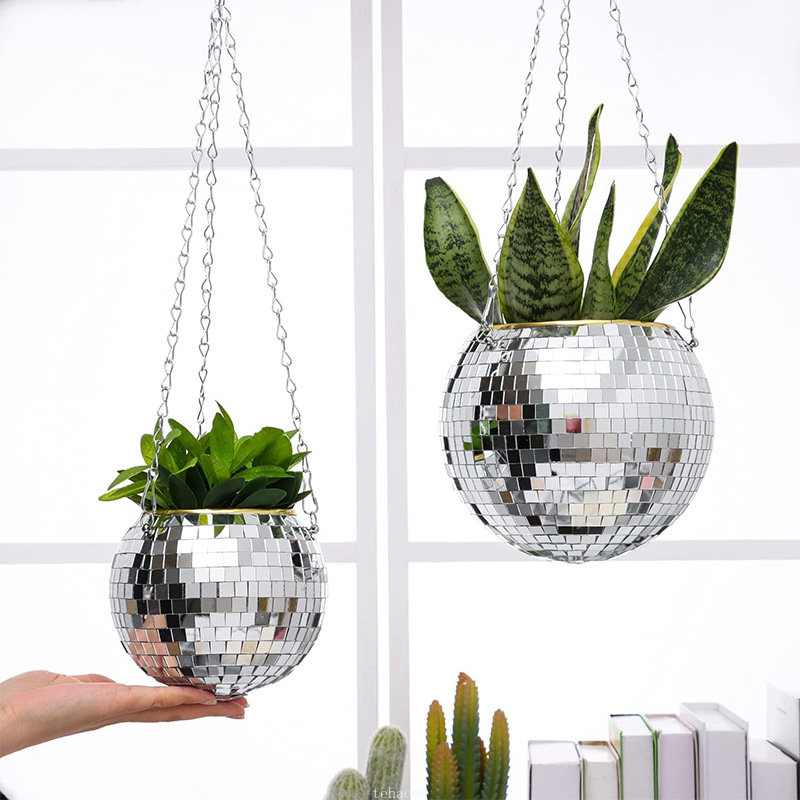Disco Mirror Ball Hanging Flow - огляд і ціна Echeveria Succulent