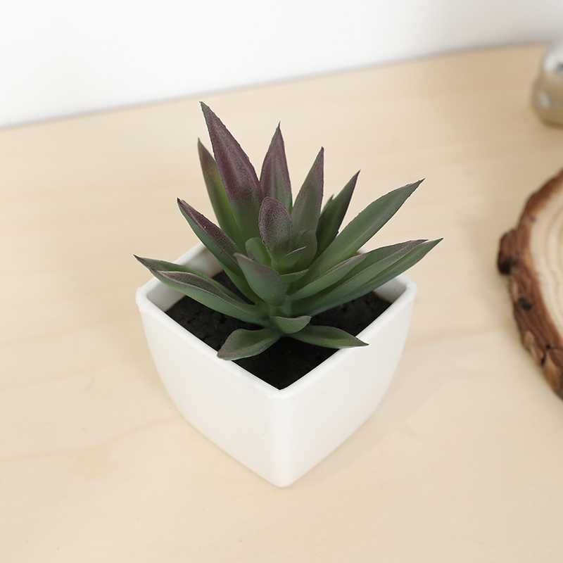 Mini Artificial Succulent Fair - огляд і ціна Echeveria Succulent